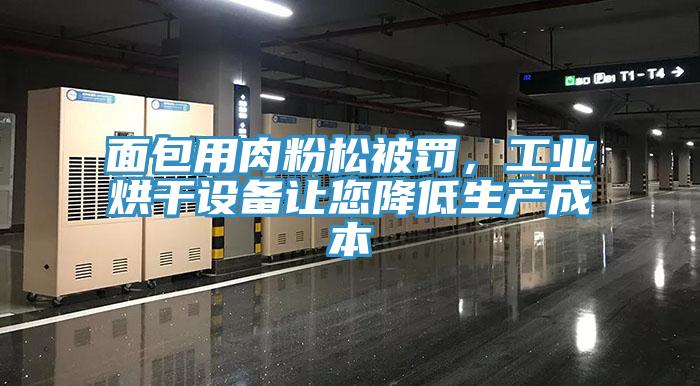 面包用肉粉松被罰，工業(yè)烘干設備讓您降低生產(chǎn)成本