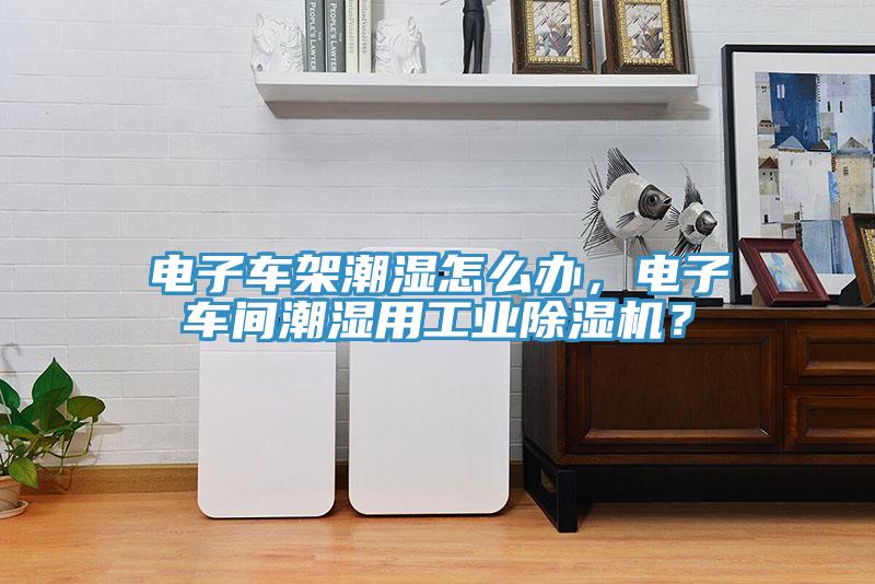電子車(chē)架潮濕怎么辦，電子車(chē)間潮濕用工業(yè)除濕機？