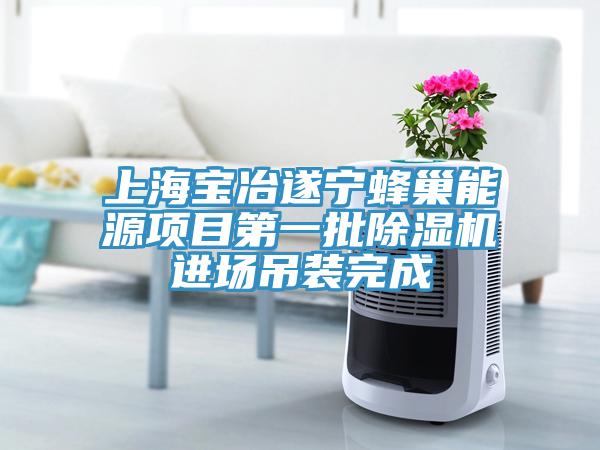上海寶冶遂寧蜂巢能源項目第一批除濕機進(jìn)場(chǎng)吊裝完成