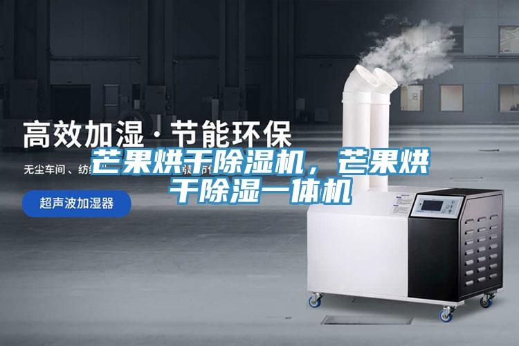 芒果烘干除濕機，芒果烘干除濕一體機