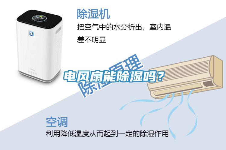 電風(fēng)扇能除濕嗎？