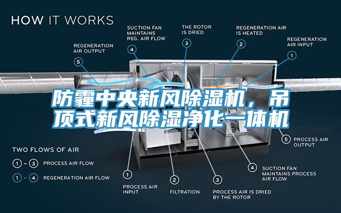 防霾中央新風(fēng)除濕機，吊頂式新風(fēng)除濕凈化一體機