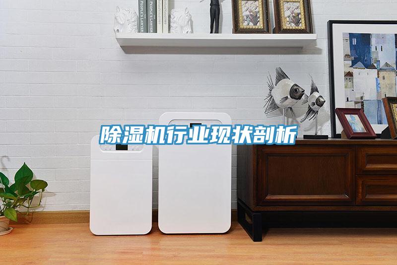 除濕機行業(yè)現狀剖析
