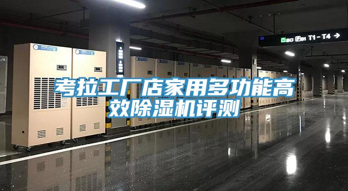 考拉工廠(chǎng)店家用多功能高效除濕機評測