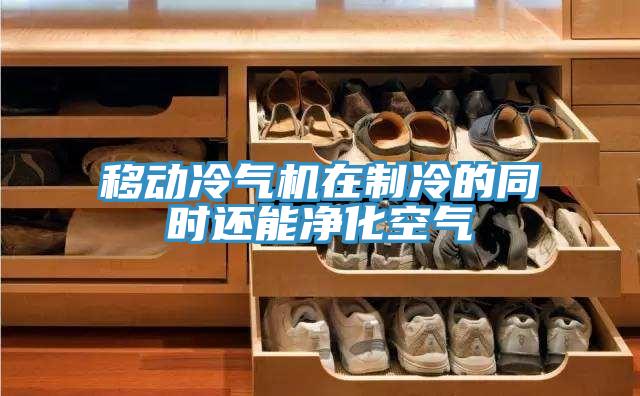 移動(dòng)冷氣機在制冷的同時(shí)還能凈化空氣