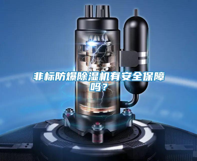 非標防爆除濕機有安全保障嗎？