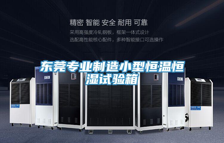 東莞專(zhuān)業(yè)制造小型恒溫恒濕試驗箱