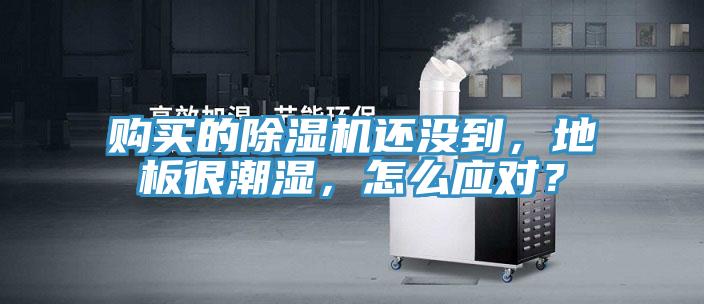購買(mǎi)的除濕機還沒(méi)到，地板很潮濕，怎么應對？