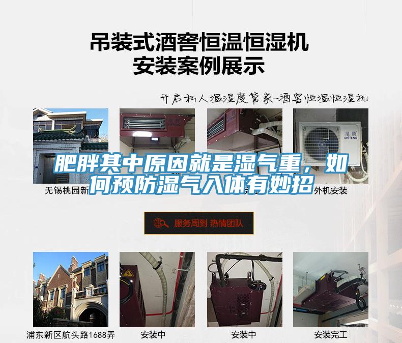 肥胖其中原因就是濕氣重，如何預防濕氣入體有妙招