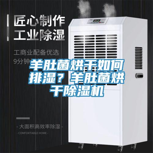 羊肚菌烘干如何排濕？羊肚菌烘干除濕機