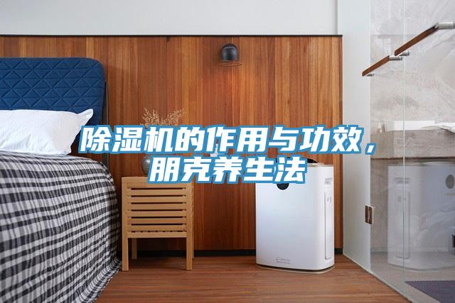 除濕機的作用與功效，朋克養生法
