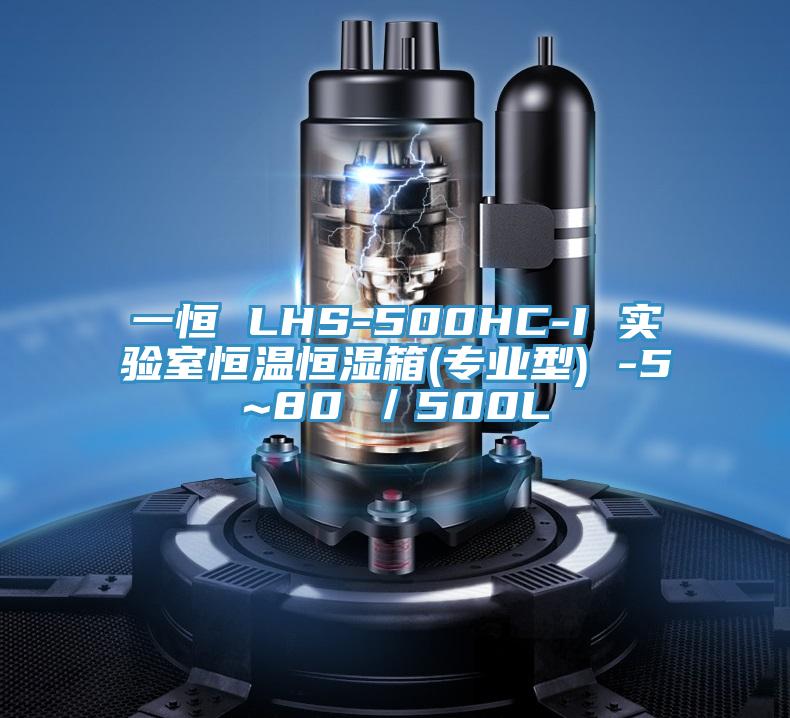 一恒 LHS-500HC-I 實(shí)驗室恒溫恒濕箱(專(zhuān)業(yè)型) -5~80℃／500L