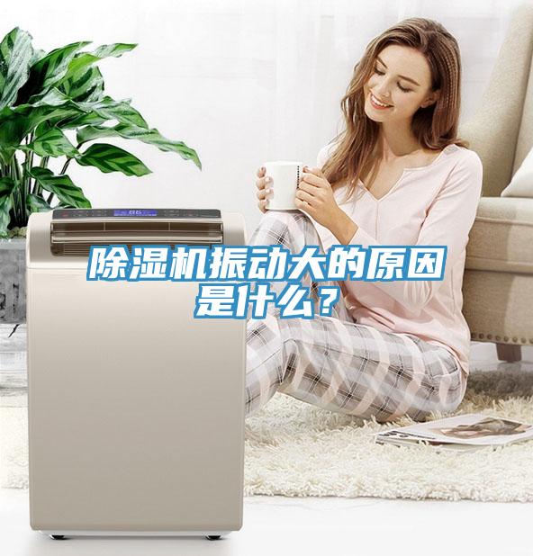 除濕機振動(dòng)大的原因是什么？