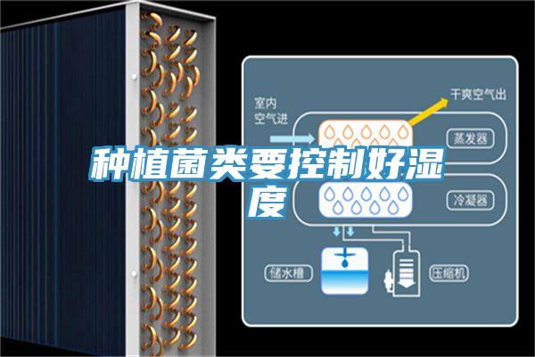 種植菌類(lèi)要控制好濕度
