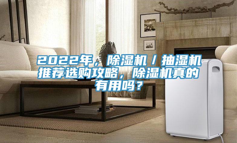 2022年，除濕機／抽濕機推薦選購攻略，除濕機真的有用嗎？