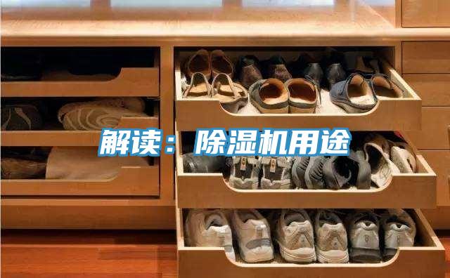 解讀：除濕機用途