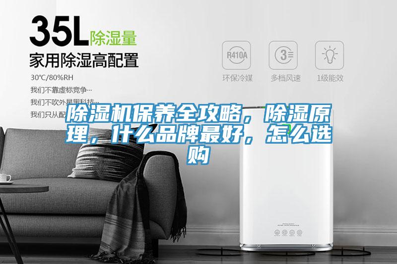 除濕機保養全攻略，除濕原理，什么品牌最好，怎么選購