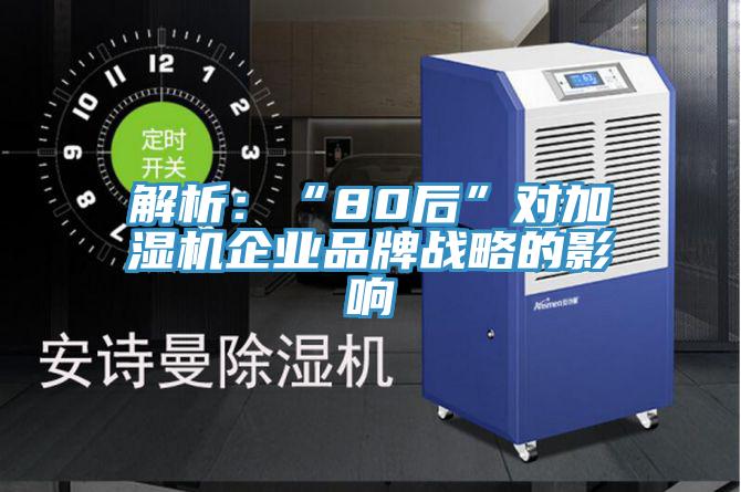 解析：“80后”對加濕機企業(yè)品牌戰略的影響