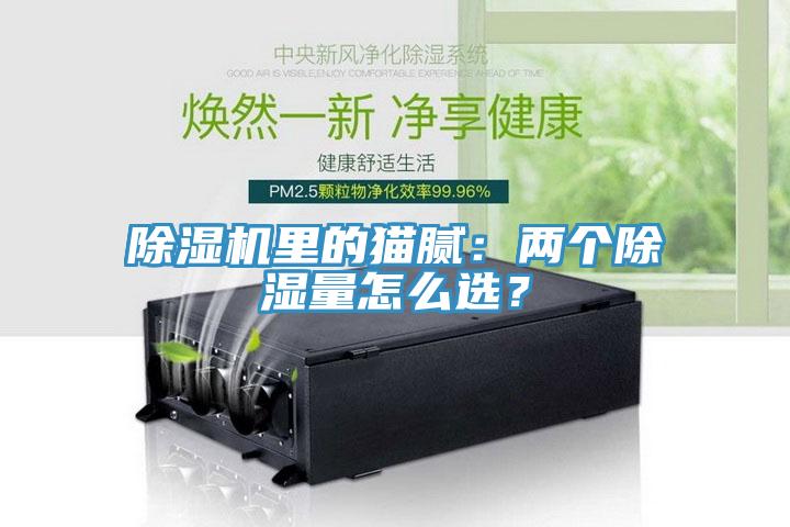 除濕機里的貓膩：兩個(gè)除濕量怎么選？