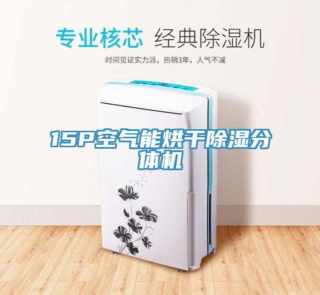 15P空氣能烘干除濕分體機