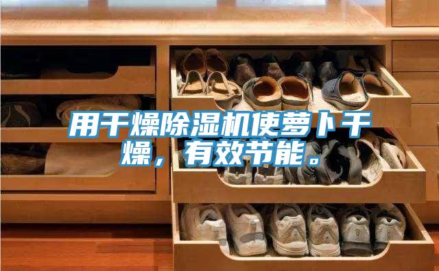 用干燥除濕機使蘿卜干燥，有效節能。
