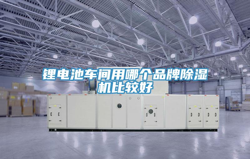 鋰電池車(chē)間用哪個(gè)品牌除濕機比較好