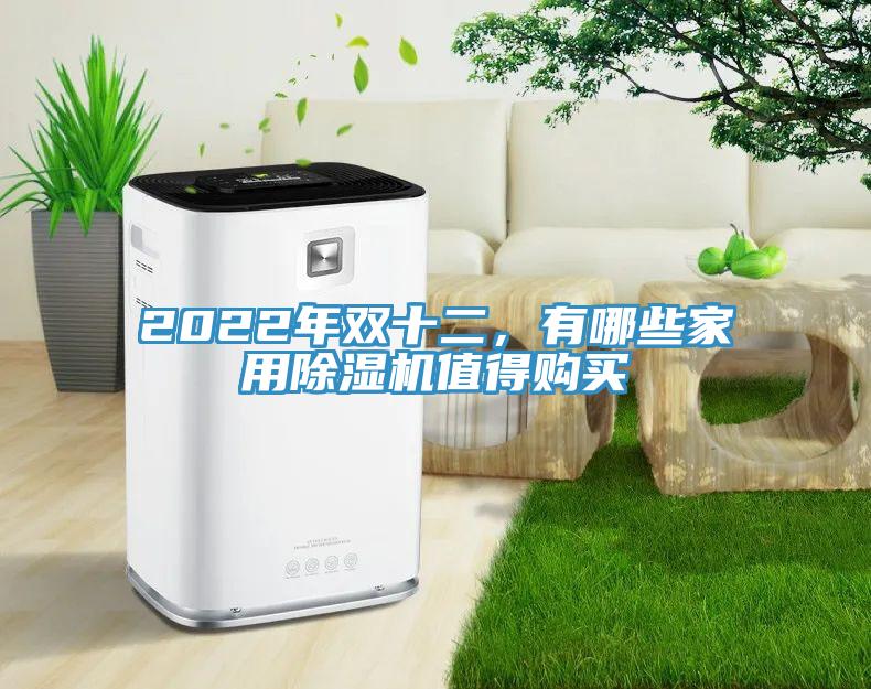 2022年雙十二，有哪些家用除濕機值得購買(mǎi)