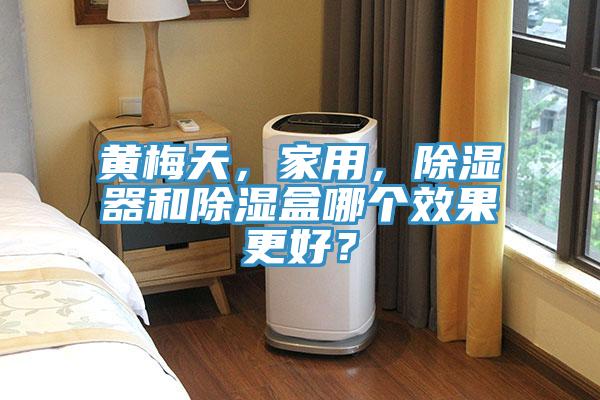 黃梅天，家用，除濕器和除濕盒哪個(gè)效果更好？