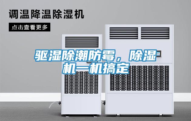 驅濕除潮防霉，除濕機一機搞定
