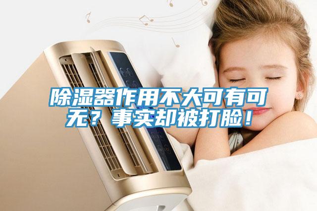 除濕器作用不大可有可無(wú)？事實(shí)卻被打臉！