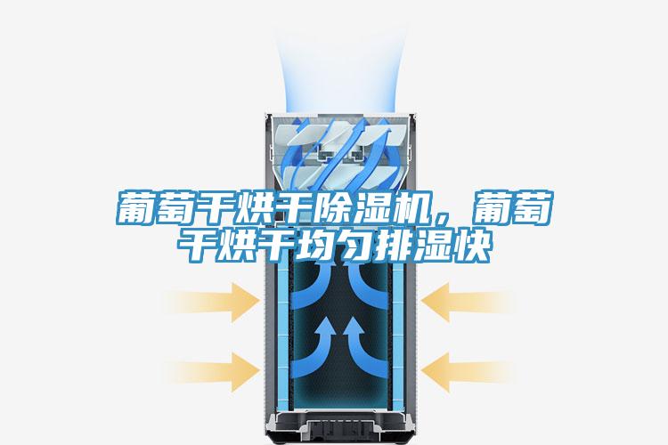 葡萄干烘干除濕機，葡萄干烘干均勻排濕快