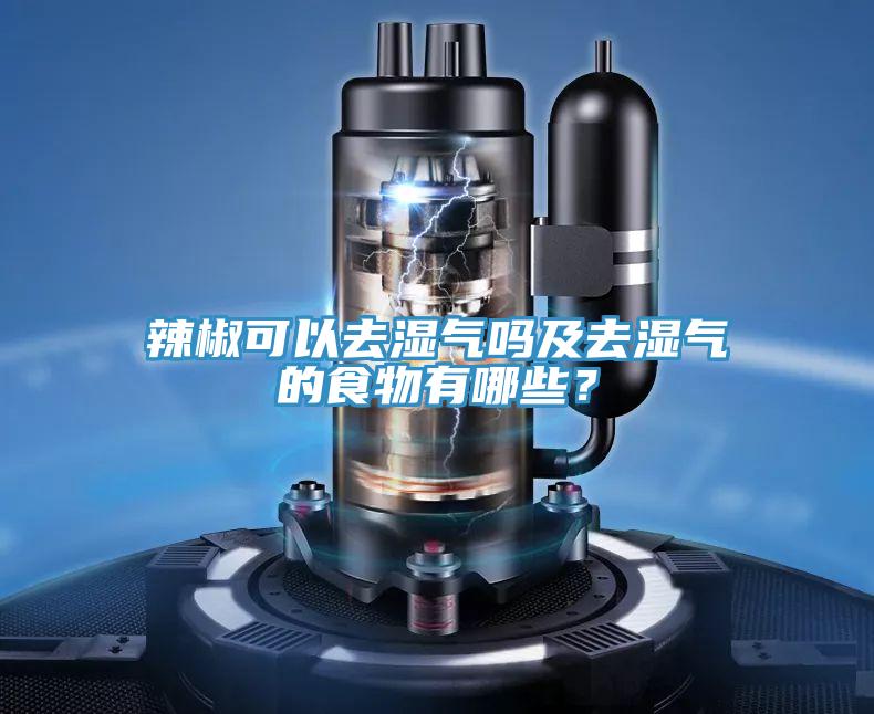 辣椒可以去濕氣嗎及去濕氣的食物有哪些？