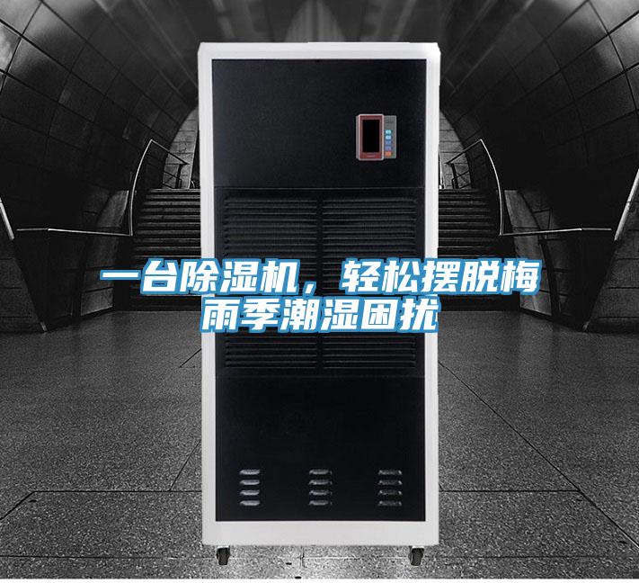 一臺除濕機，輕松擺脫梅雨季潮濕困擾
