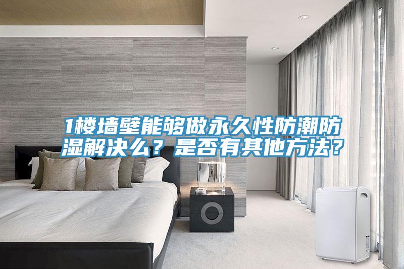 1樓墻壁能夠做永久性防潮防濕解決么？是否有其他方法？