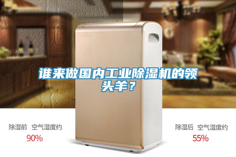 誰(shuí)來(lái)做國內工業(yè)除濕機的領(lǐng)頭羊？