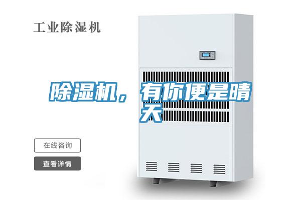 除濕機，有你便是晴天