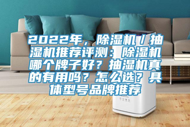 2022年，除濕機／抽濕機推薦評測：除濕機哪個(gè)牌子好？抽濕機真的有用嗎？怎么選？具體型號品牌推薦