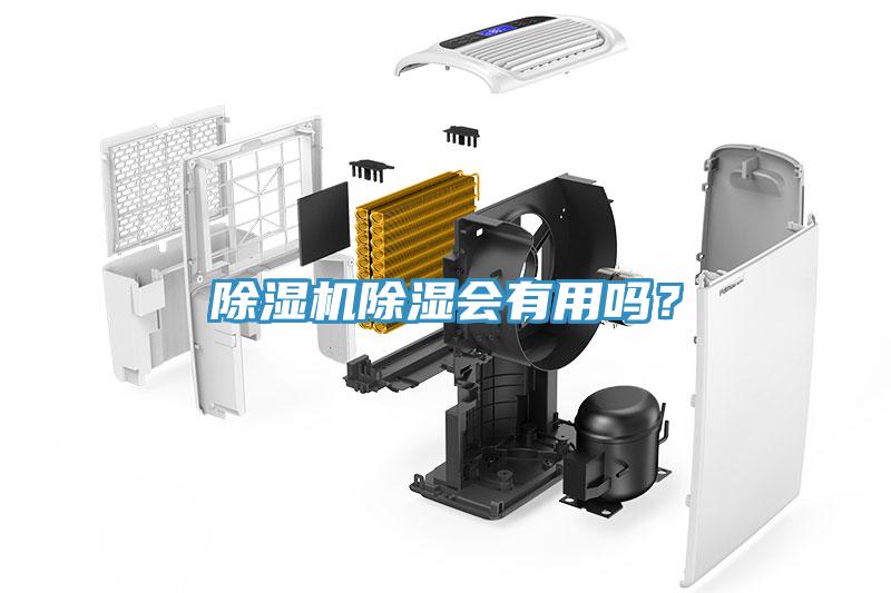 除濕機除濕會(huì )有用嗎？