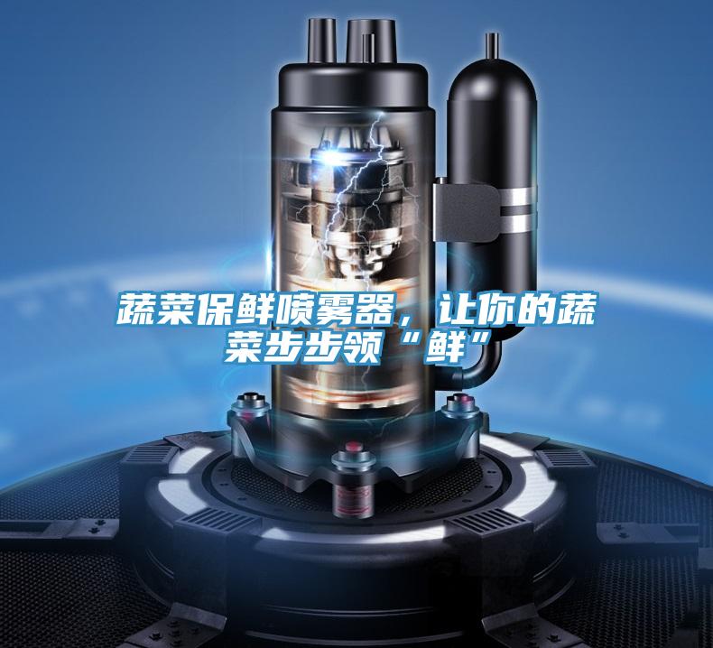 蔬菜保鮮噴霧器，讓你的蔬菜步步領(lǐng)“鮮”