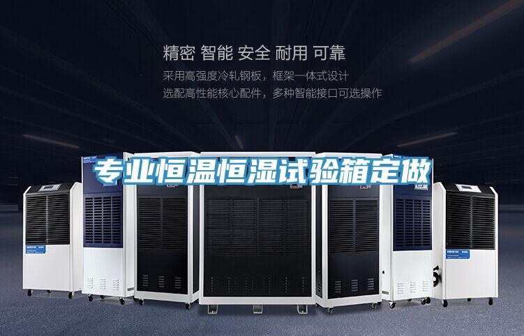 專(zhuān)業(yè)恒溫恒濕試驗箱定做