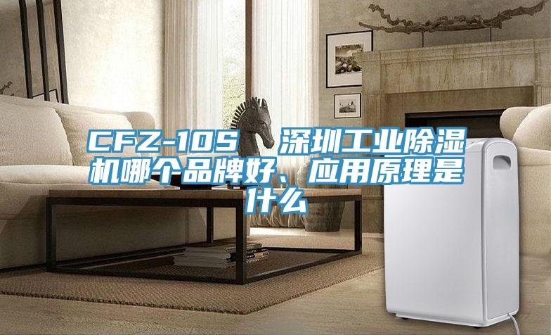 CFZ-10S  深圳工業(yè)除濕機哪個(gè)品牌好、應用原理是什么