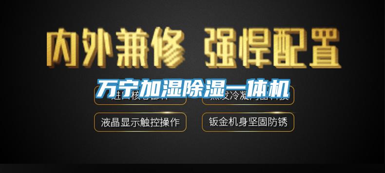 萬(wàn)寧加濕除濕一體機