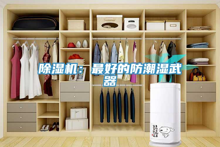 除濕機：最好的防潮濕武器