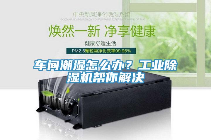 車(chē)間潮濕怎么辦？工業(yè)除濕機幫你解決