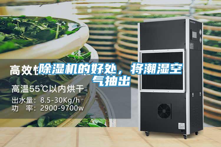 除濕機的好處，將潮濕空氣抽出