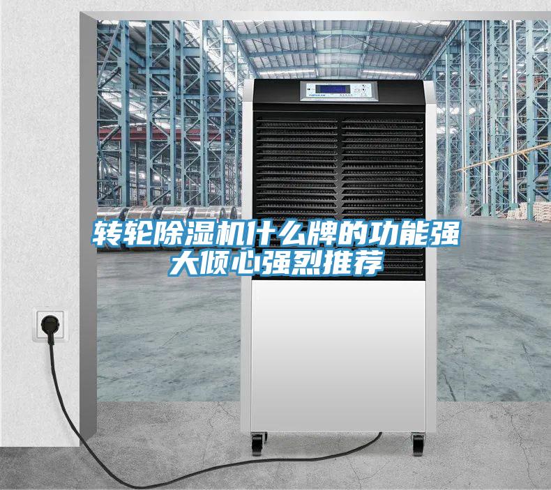 轉輪除濕機什么牌的功能強大傾心強烈推薦