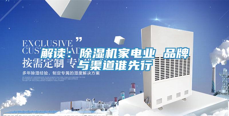 解讀：除濕機家電業(yè) 品牌與渠道誰(shuí)先行
