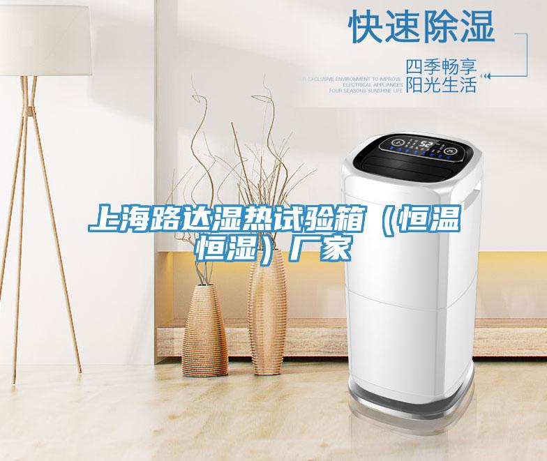 上海路達濕熱試驗箱（恒溫恒濕）廠(chǎng)家