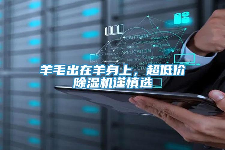 羊毛出在羊身上，超低價(jià)除濕機謹慎選