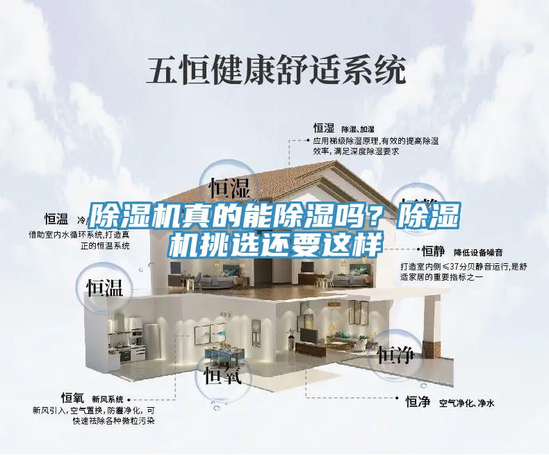 除濕機真的能除濕嗎？除濕機挑選還要這樣